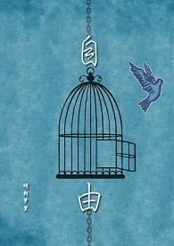 自由泳教学视频